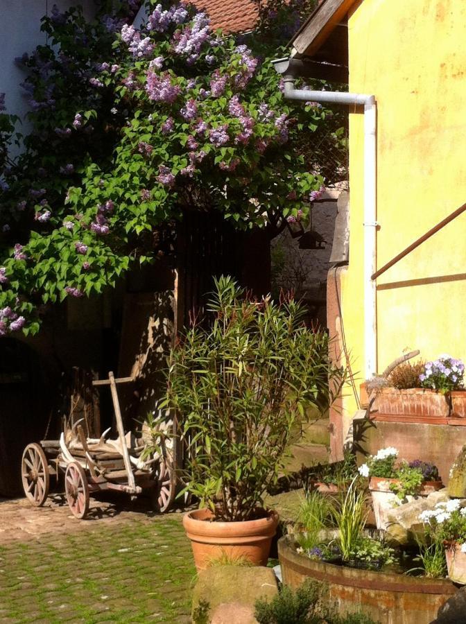 La Maison De Caroline Westhoffen Luaran gambar