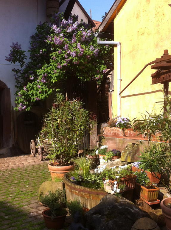 La Maison De Caroline Westhoffen Luaran gambar